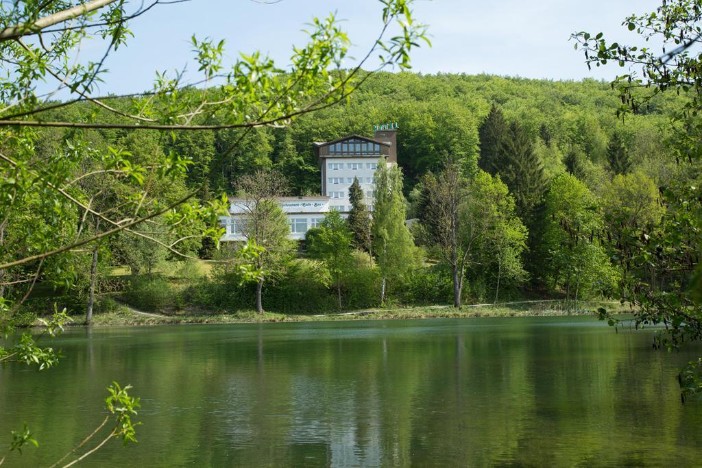 Hotel Reifenstein Kleinbartloff Esterno foto